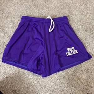 York college shorts